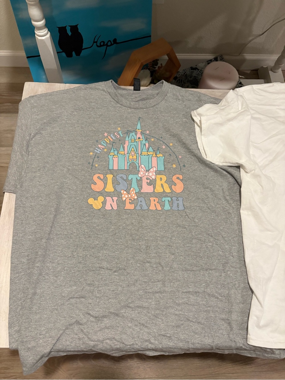 2 Disney t-shirts: Happiest Sisters on Earth.” Gray and white